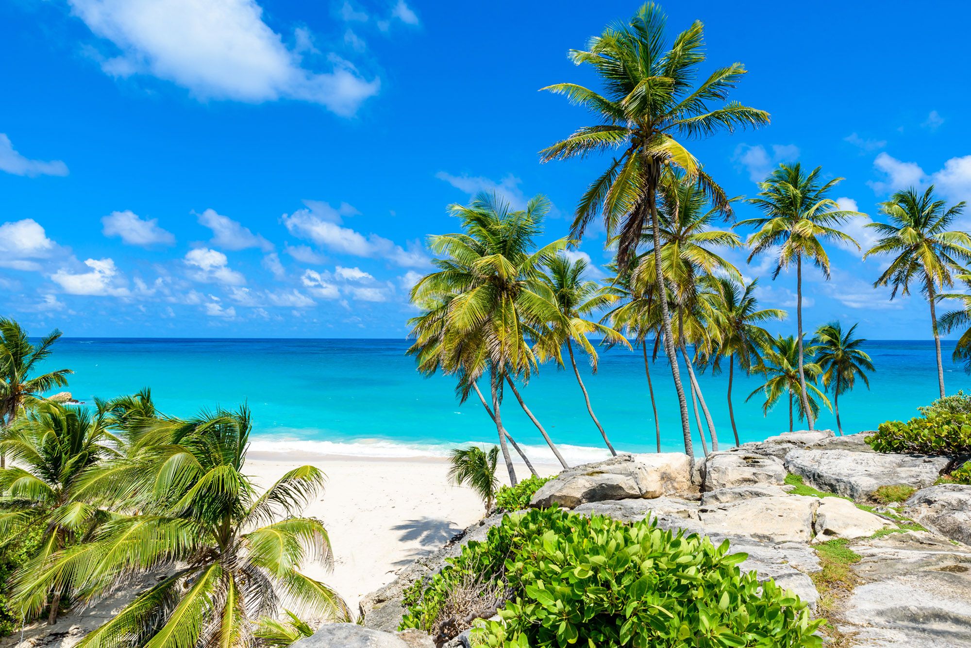 Barbados—second